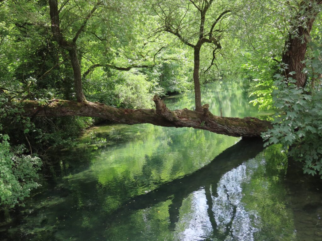 Deler av Blautopf i Blaubeuren i Tyskland