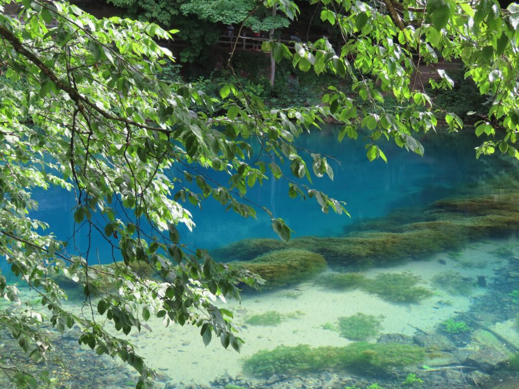 Det vakre klare og blå vannet i Blautopf