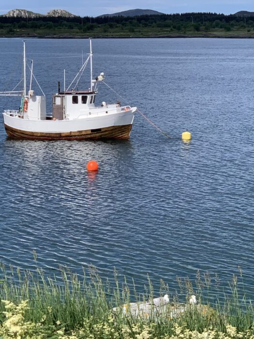 Fiskebåt på Herøy i Nordland