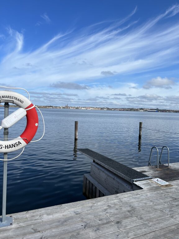 Bademuligheter rett i Gullmarsfjorden