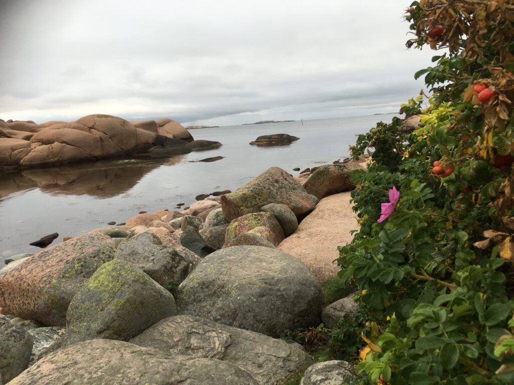 Fine turområder langs sjøen i Lysekil