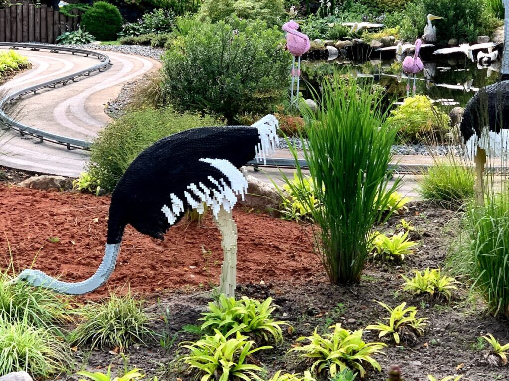 Struts i safariparken