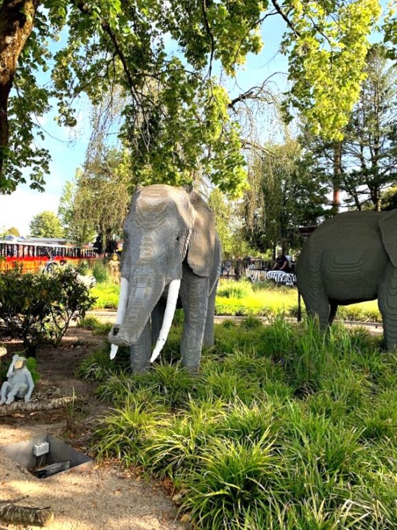 Elefant vi treff på i safariparken